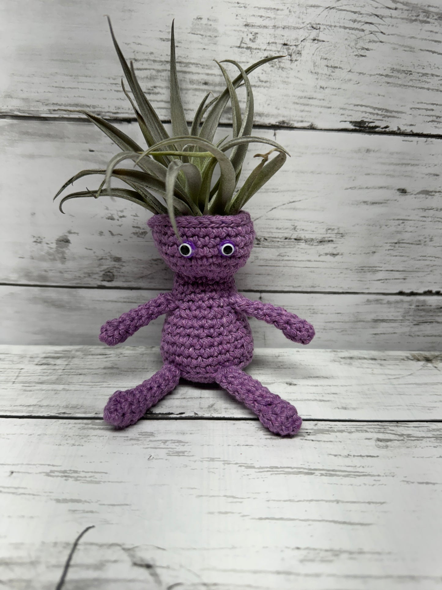 Aerhead Crocheted Air Plant Shelf/Table Sitters, Plant INCLUDED