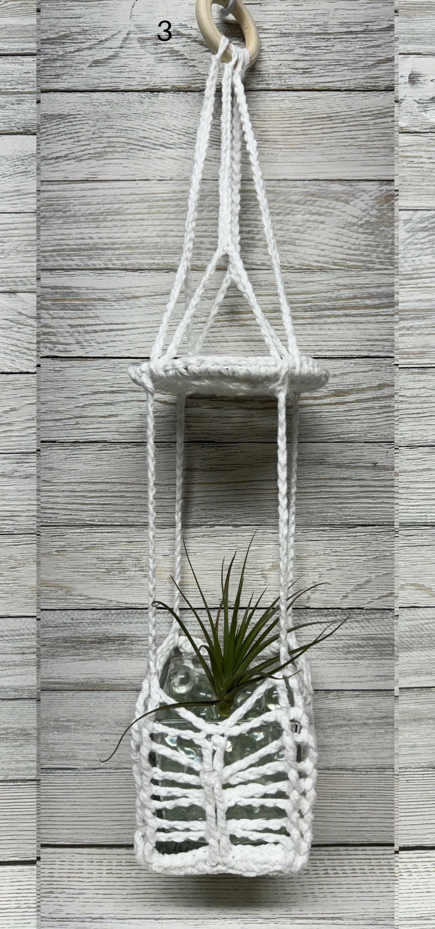 Sunburst Air Plant Hanger INCLUDING Air Plant w/White Crushed Rock