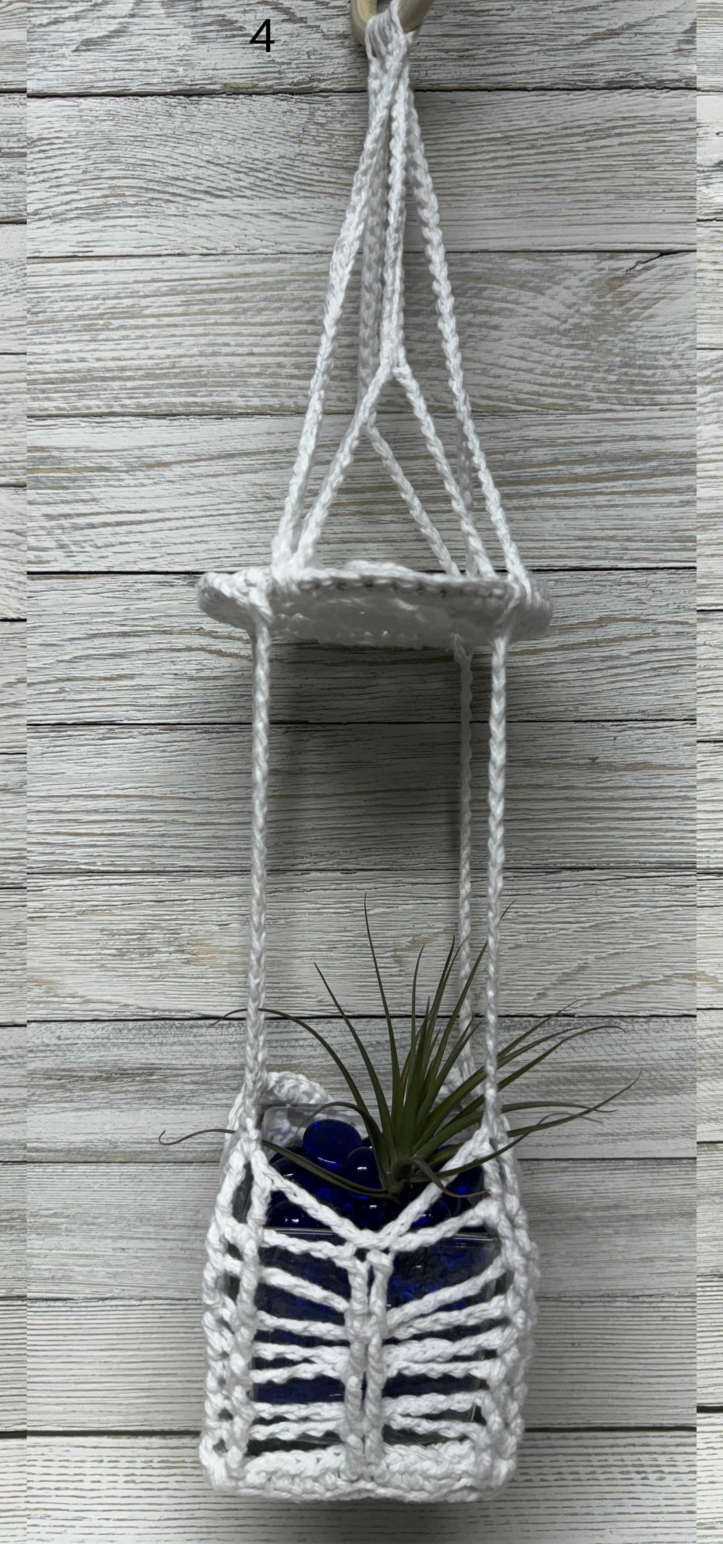 Sunburst Air Plant Hanger INCLUDING Air Plant w/White Crushed Rock