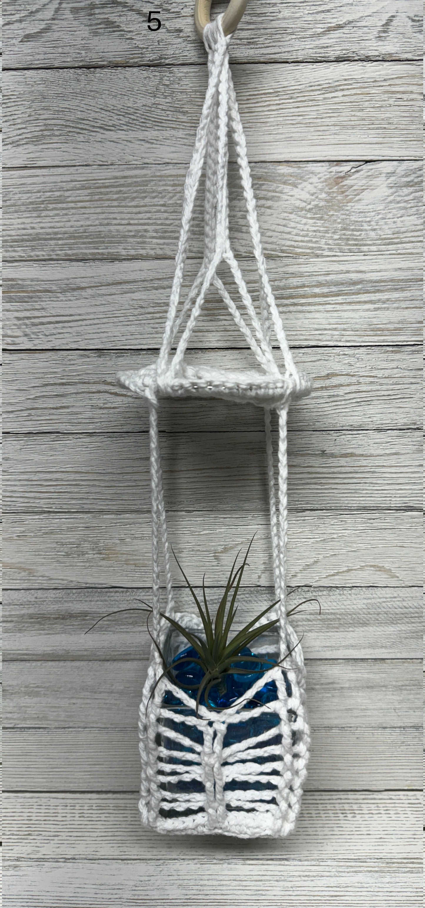 Sunburst Air Plant Hanger INCLUDING Air Plant w/White Crushed Rock