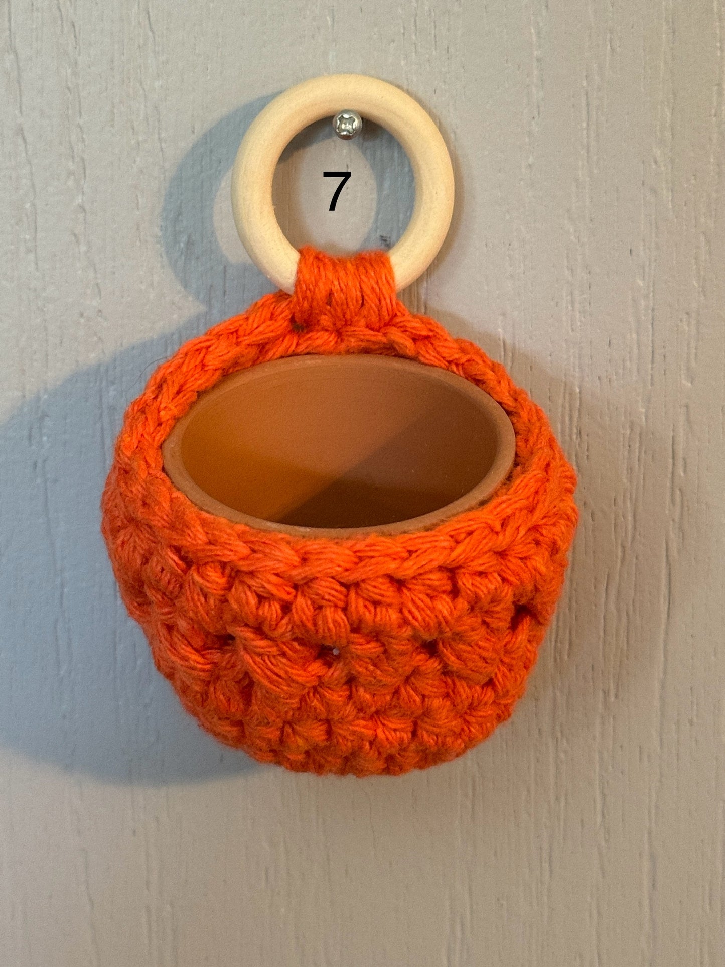 Chunky Hand Crocheted Succulent Hanger with Pot