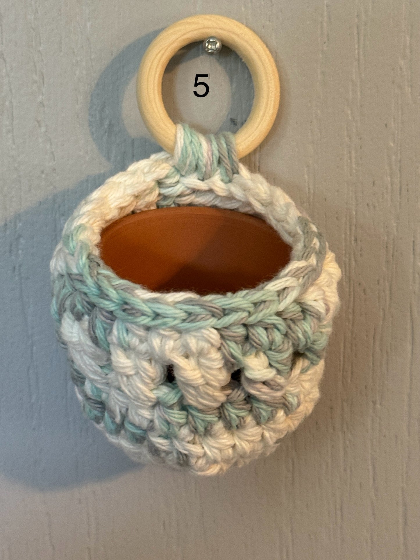 Chunky Hand Crocheted Succulent Hanger with Pot