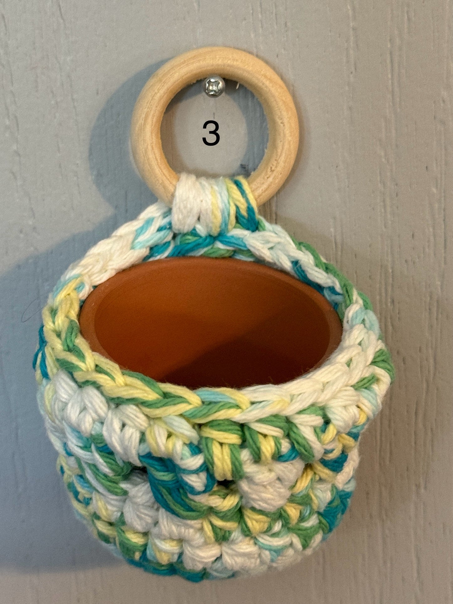 Chunky Hand Crocheted Succulent Hanger with Pot