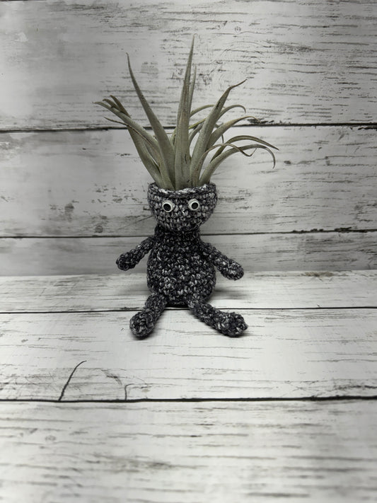 Aerhead Crocheted Air Plant Shelf/Table Sitters, Plant INCLUDED