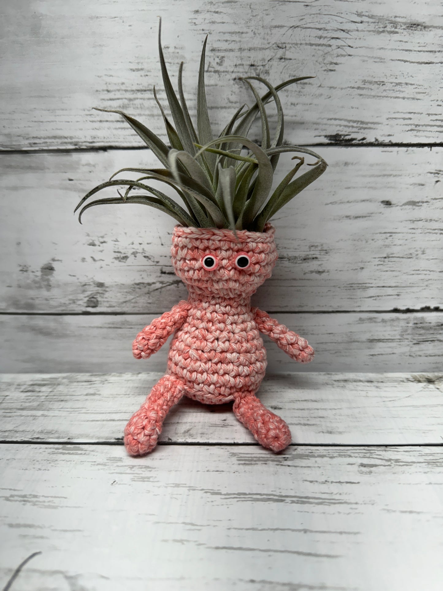 Aerhead Crocheted Air Plant Shelf/Table Sitters, Plant INCLUDED