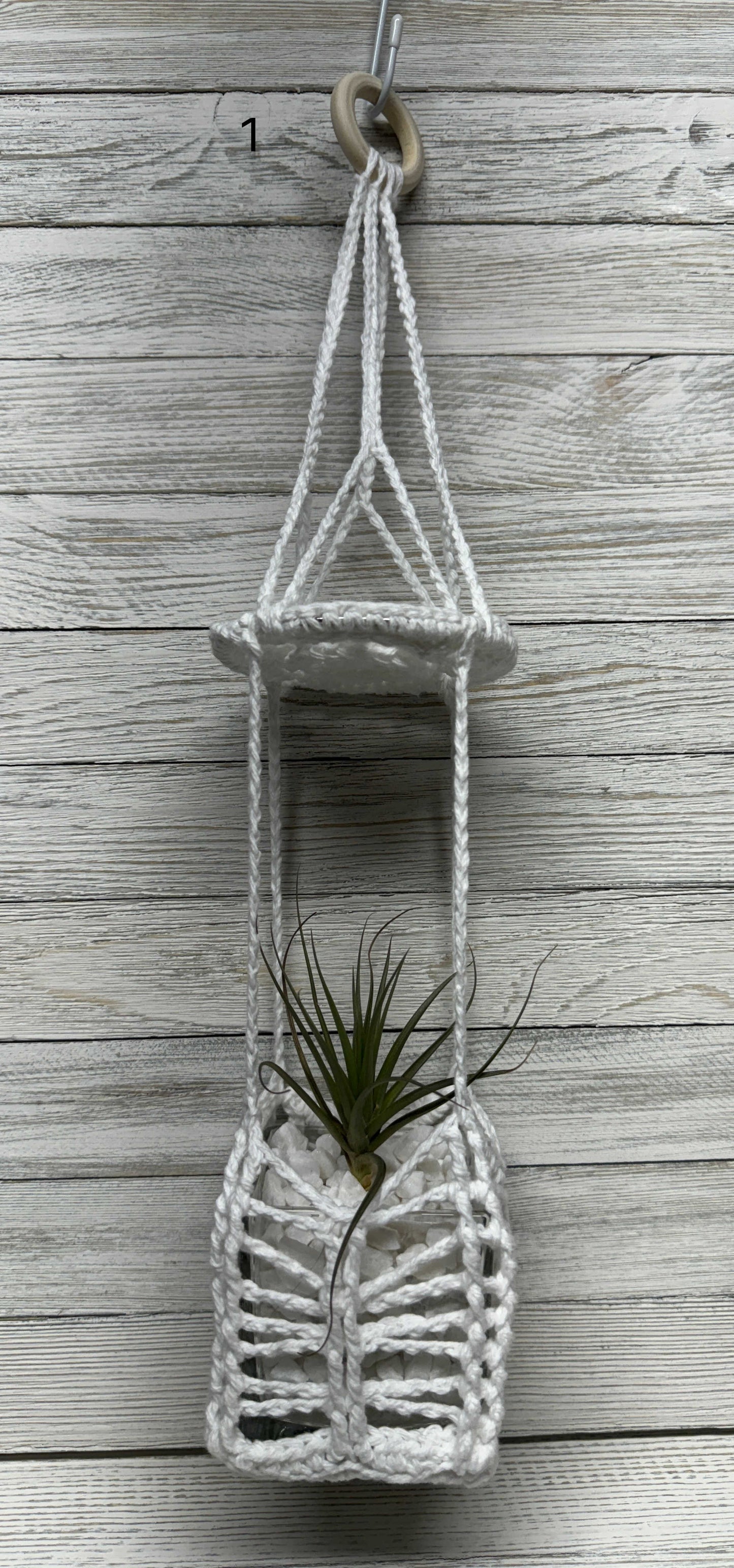 Sunburst Air Plant Hanger INCLUDING Air Plant w/White Crushed Rock