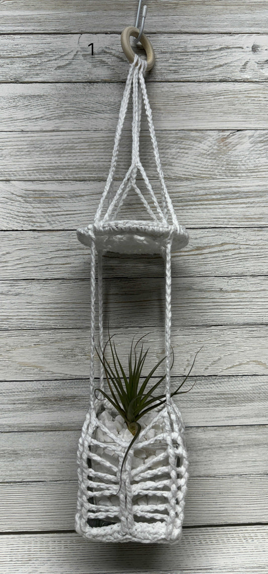 Sunburst Air Plant Hanger INCLUDING Air Plant w/White Crushed Rock